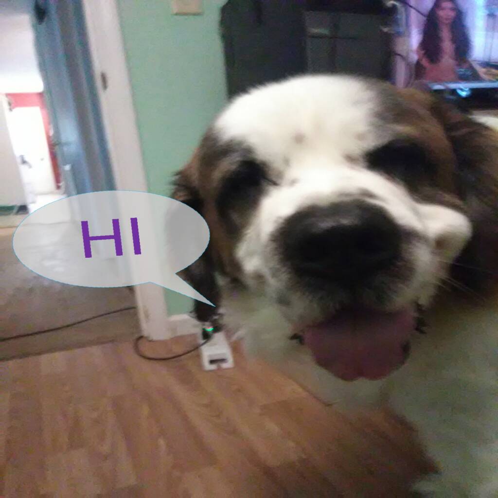 Athyssa Seafarer's avatar