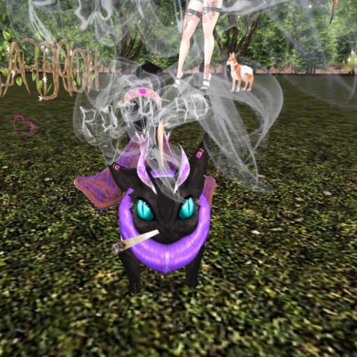 Solstice Yulepurr's avatar